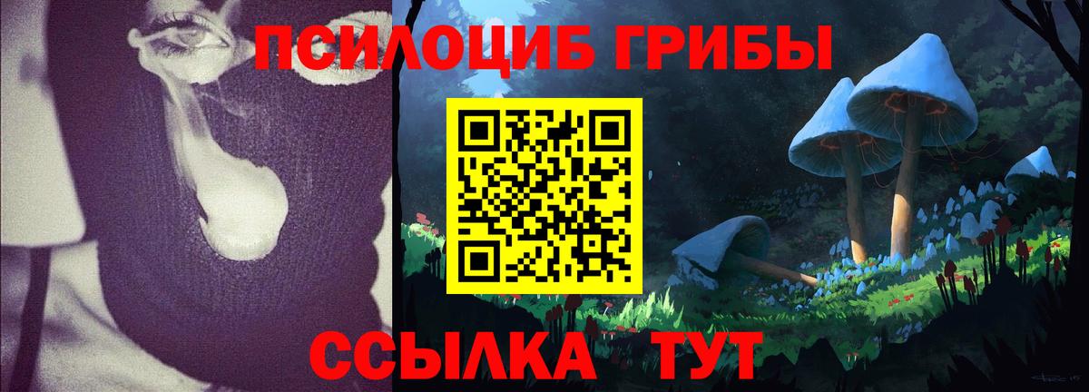 Галлюциногенные грибы мицелий  Галлюциногенные грибы прущие грибы  Пенза  Вход с VPN 